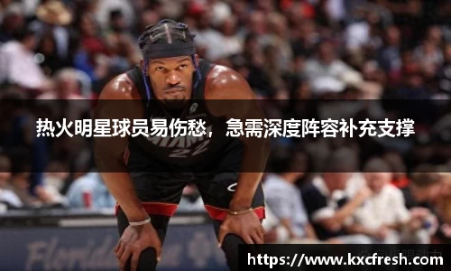 热火明星球员易伤愁，急需深度阵容补充支撑