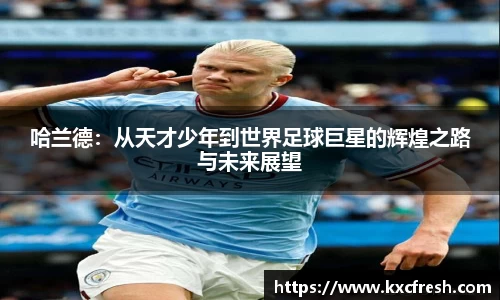 k1体育官网